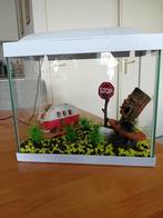 Leuk aquarium.stenen boter kaas eieren.leuke spaarpot., Dieren en Toebehoren, Vissen | Aquaria en Toebehoren, Ophalen of Verzenden