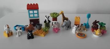 Diversen Duplo dieren beschikbaar voor biedingen