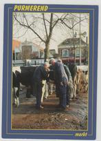 Purmerend Markt Koemarkt Boeren Koeien Ongelopen, Verzamelen, Noord-Holland, Ongelopen, Verzenden