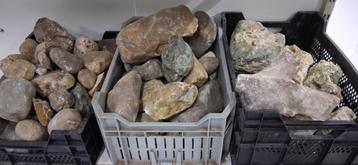 Gratis zwerfkeien!!! beschikbaar voor biedingen