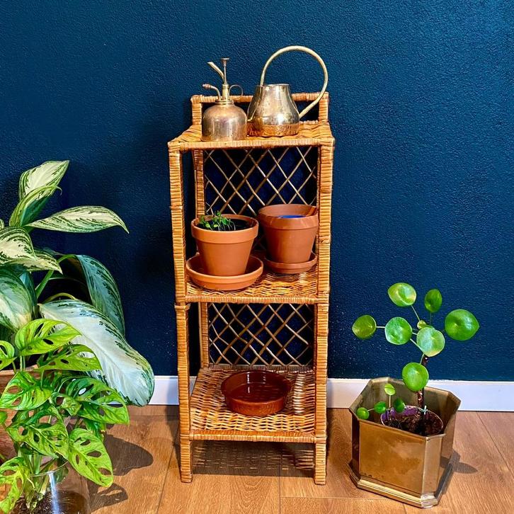 Prachtig vintage rotan/ rieten kastje, Huis en Inrichting, Kasten | Stellingkasten, Zo goed als nieuw, Ophalen of Verzenden