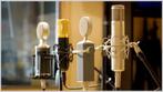DIY C-12 Tube-condenser mic, Ophalen of Verzenden, Gebruikt, Studiomicrofoon