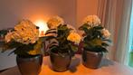 Kunst hortensia’s 3 stuks met stenen pot, Huis en Inrichting, Ophalen of Verzenden, Zo goed als nieuw