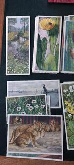 grote collectie losse verkade plaatjes, Verzenden, Nieuw