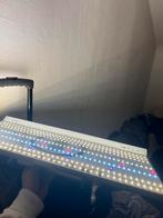 Ledlampen 5x voor het kweken, Ophalen, Zo goed als nieuw