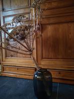 Gedroogde berenklauw xxl, Ophalen, Zo goed als nieuw