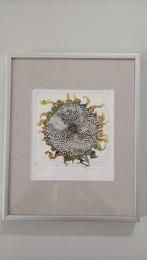 ingelijste ets bloem, zonnebloem gesigneerd en genummerd, Antiek en Kunst, Ophalen of Verzenden