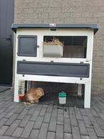 Konijnenhok ferplast, Dieren en Toebehoren, Ophalen, 90 cm of meer, Konijn, Hok