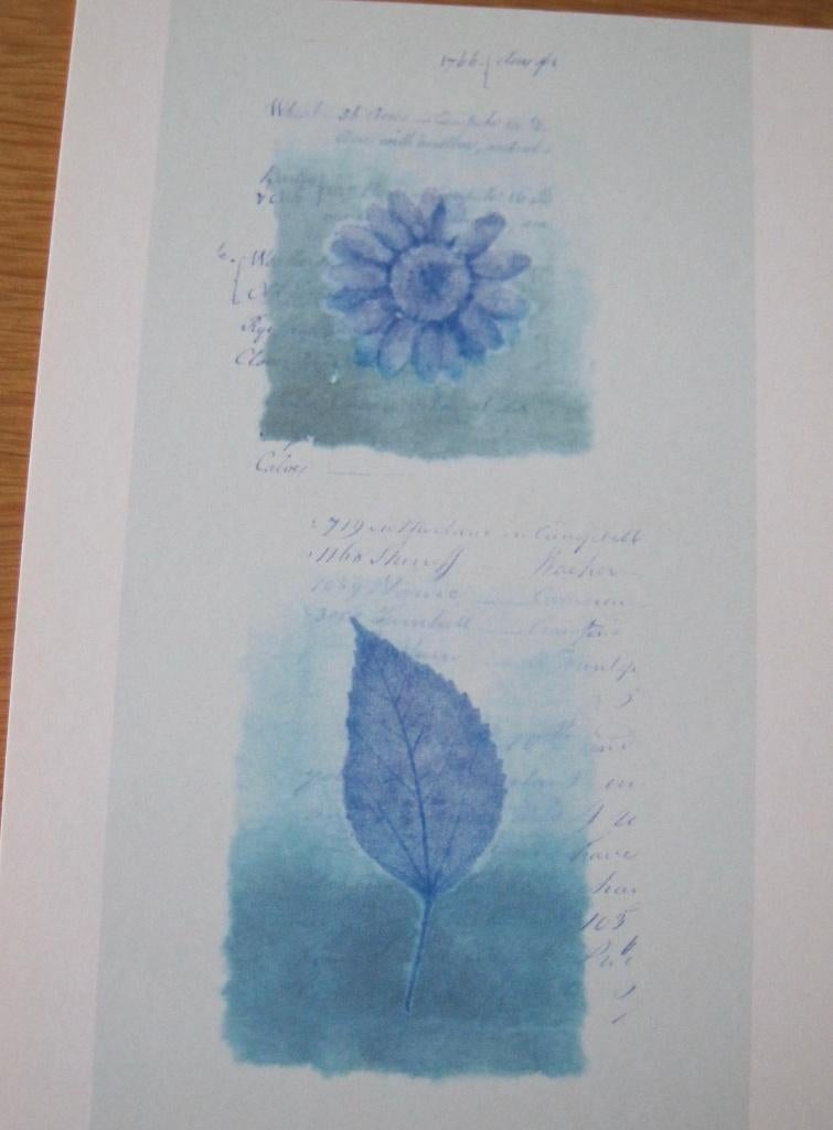 voor het kind - bloem en blad - 2502A - nieuw, Verzenden, 1980 tot heden, Ongelopen, Overige thema's