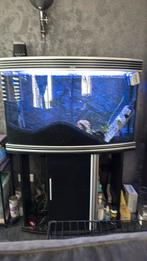 Prachtig Trofis aquarium panorama led, Ophalen, Zo goed als nieuw, Leeg aquarium