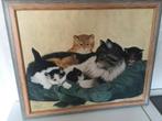Olieverfschilderij katten familie naar Henriette Ronner, Ophalen of Verzenden