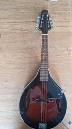 Richwood RW830 SB Mandoline - Prachtige Klank!, Muziek en Instrumenten, Ophalen, Gebruikt, Luit, Saz of Bouzouki