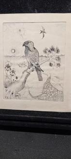 Leuk etsje van een roofvogel., Ophalen of Verzenden