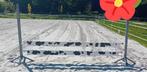 Paard, Dieren en Toebehoren