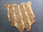 Vloerkleed 150x170, 100 tot 150 cm, Ophalen of Verzenden, Zo goed als nieuw, 150 tot 200 cm