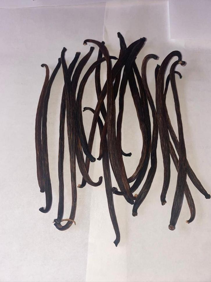 vanille stokjes, Hobby en Vrije tijd, Taarten en Cupcakes maken, Nieuw, Overige typen, Taarten of Cupcakes, Ophalen of Verzenden