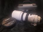 Canon EF 300mm 2.8 L USM IS, Ophalen, Zo goed als nieuw, Telelens