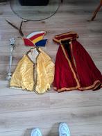 Prins carnaval kleding compleet, Ophalen of Verzenden, Zo goed als nieuw