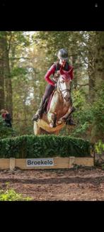 Prachtige allround pony te koop, Dieren en Toebehoren, Pony's, B, C pony (1.27m tot 1.37m), 11 jaar of ouder, Merrie