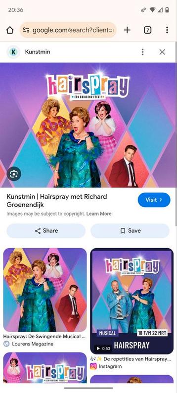 Hairspray the musical met korting  beschikbaar voor biedingen