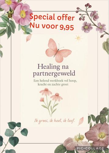 Online werkboekje healing na partnergeweld beschikbaar voor biedingen