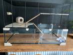 Knaagdierenkooi Karat 80 (merk Ferplast), Dieren en Toebehoren, Kooi, Zo goed als nieuw, Hamster, 75 tot 110 cm