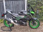 Kawasaki Z500   Z 500  2024    A2 rijbewijs   ABS, 2 cilinders, Particulier, Meer dan 35 kW, Minimaal motorrijbewijs A2