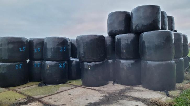Grasbalen en Kuilbalen groote rond, Dieren en Toebehoren, Dierenvoeding, Vee, Ophalen of Verzenden