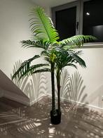 Kunstplant/ palm Areca, Ophalen, Gehele jaar