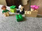 Duplo panda en verzorger 6173, Kinderen en Baby's, Speelgoed | Duplo en Lego, Complete set, Duplo, Ophalen of Verzenden, Zo goed als nieuw