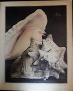 Evert Musch. 7 litho's uit de jaren veertig., Antiek en Kunst, Ophalen of Verzenden