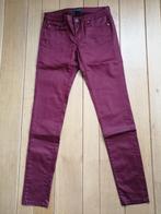 Sutherland broek bordeaux rood coated maat S - nieuw, Maat 38/40 (M), Sutherland, Nieuw, Ophalen of Verzenden