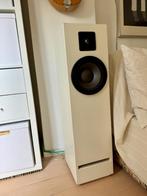Unieke handgemaakte vloerstaande speakers (ca. 1992), Gebruikt, 120 watt of meer, Front, Rear of Stereo speakers, Ophalen