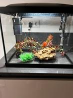 Aquarium compleet, Dieren en Toebehoren, Vissen | Aquaria en Toebehoren, Ophalen, Zo goed als nieuw, Leeg aquarium