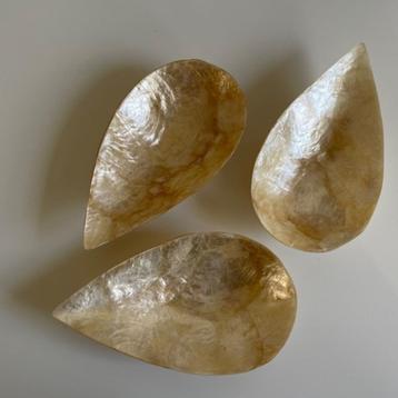 Schaaltjes van Capiz schelp wit 4,75 per stuk in div vormen beschikbaar voor biedingen