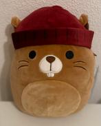 Squishmallow Chip 25 cm - Nieuw, Ophalen of Verzenden, Nieuw, Overige typen