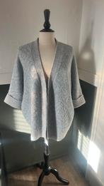 Vest marie mero 48 grijs lichtblauw driekwart mouw, Kleding | Dames, Ophalen of Verzenden, Zo goed als nieuw, Maat 46/48 (XL) of groter