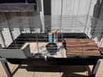 Cavia knaagdieren kooi 100x 52x 43, Kooi, Gebruikt, 75 tot 110 cm, Cavia