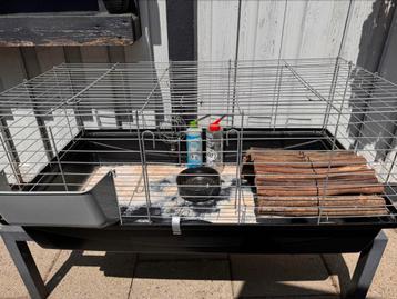 Cavia knaagdieren kooi 100x 52x 43 beschikbaar voor biedingen