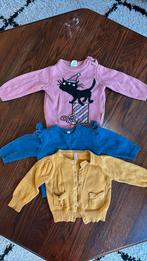 Feestelijke kleding meisjes mt 68 HEMA/Wibra/Zeeman, Kinderen en Baby's, Ophalen of Verzenden, Zo goed als nieuw, Maat 68