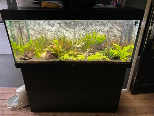 Juwel rio 240 draaiend aquarium, Dieren en Toebehoren, Vissen | Aquaria en Toebehoren, Zo goed als nieuw, Gevuld zoetwateraquarium