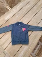 Phoxy vest maat 116, Psv, Trui of Vest, Ophalen of Verzenden, Zo goed als nieuw