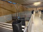 Hokinrichting, Dieren en Toebehoren, Schapen, Geiten en Varkens, Meerdere dieren