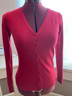 Rode Kasjmier Vest Maat S-M, Ophalen of Verzenden, Nieuw, Maat 36 (S), Rood