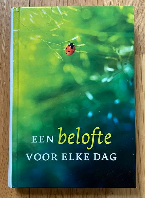 EEN BELOFTE VOOR ELKE DAG ( Groot Goudriaan/ 2011 ), Boeken, Godsdienst en Theologie, Zo goed als nieuw, Christendom | Protestants