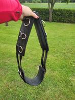 Longeersingel pony, Dieren en Toebehoren, Ophalen of Verzenden, Zo goed als nieuw, Overige soorten