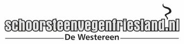 schoorsteenvegen nu 65 euro incl veegbewijs  beschikbaar voor biedingen