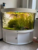 Juwel hoek aquarium 190 L/liter, Dieren en Toebehoren, Vissen | Aquaria en Toebehoren, Ophalen, Zo goed als nieuw