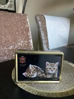 Stewart’s 3D Kattenblik, Ophalen of Verzenden, Zo goed als nieuw, Overige