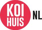 Japanse koi, Dieren en Toebehoren, Vissen | Vijvervissen, Karper of Koi